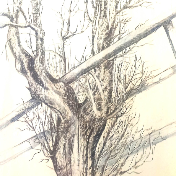 Grafika, Natalia Błaszczyk, grafika projektowa, grafika artystyczna, grafika komputerowa, malarstwo, ilustracje